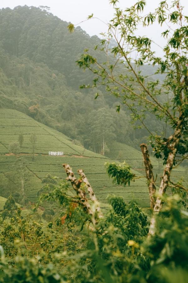 The Train View Bed and Breakfast Nuwara Eliya Buitenkant foto