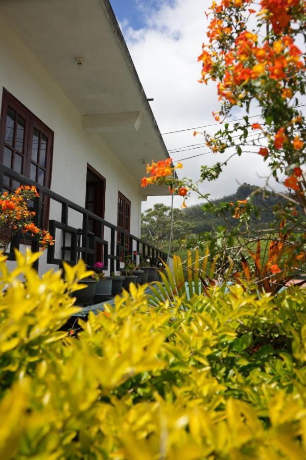 The Train View Bed and Breakfast Nuwara Eliya Buitenkant foto