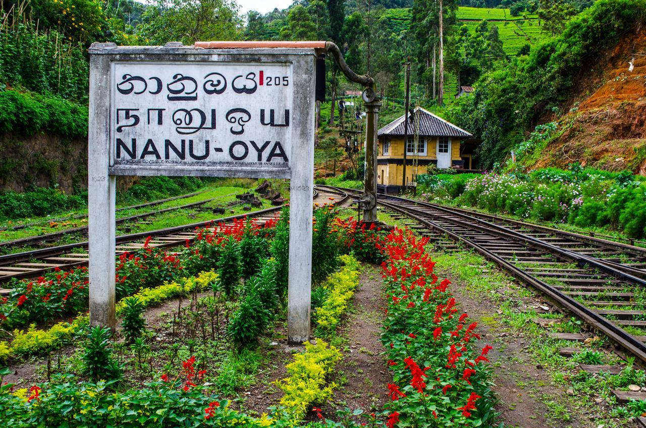 The Train View Bed and Breakfast Nuwara Eliya Buitenkant foto